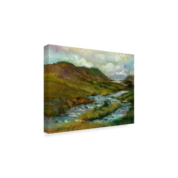 Hall Groat Ii 'Ring Of Kerry, Ireland 2' Canvas Art,24x32